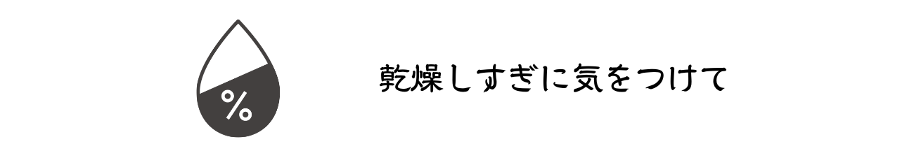 ポイント